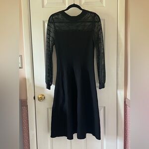 Elegant Black Balloon Long Sleeve Dress with Sheer Detail